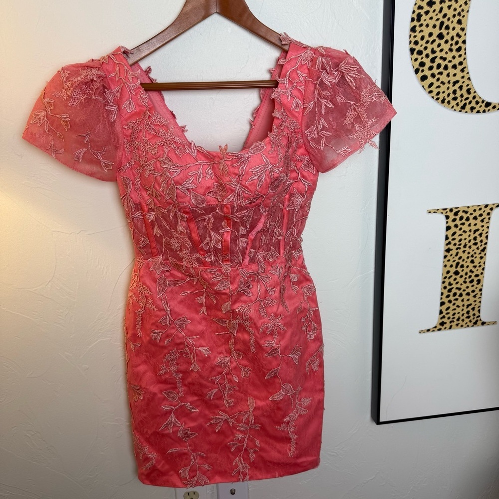 NWOT POMUYOO Pink Embroidered Floral Mesh Mini Dress – Size 2